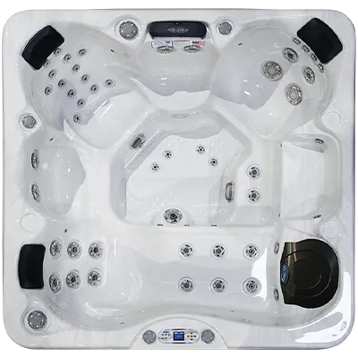 Avalon EC-849L hot tubs for sale in Huntington Park